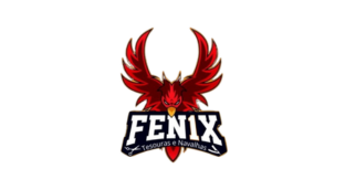 FENIX | Profissional Fair